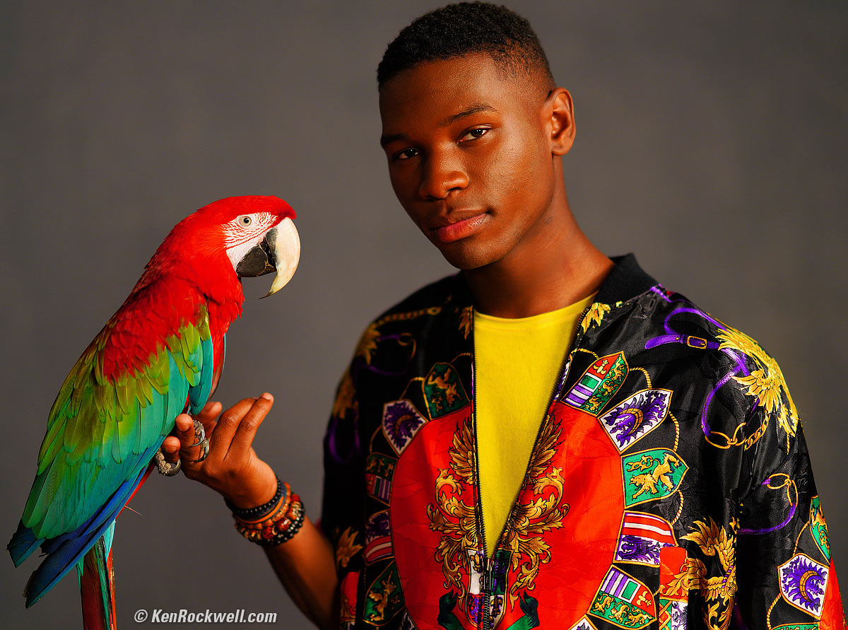 Sony A7R IV Sample Image File