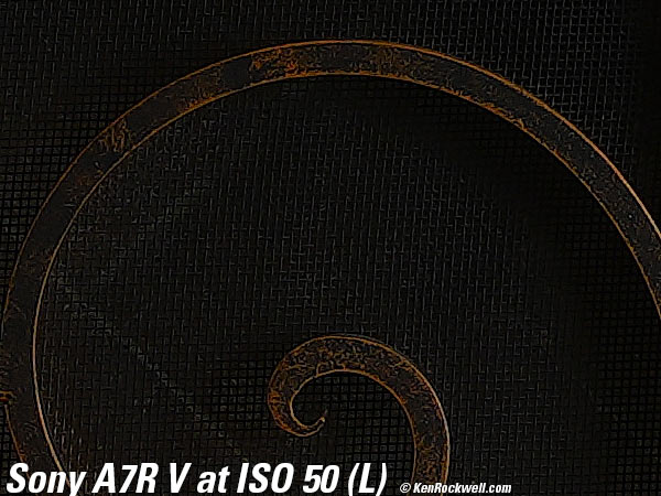 Sony A7R V High ISO Sample Image File