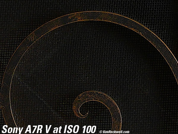 Sony A7R V High ISO Sample Image File