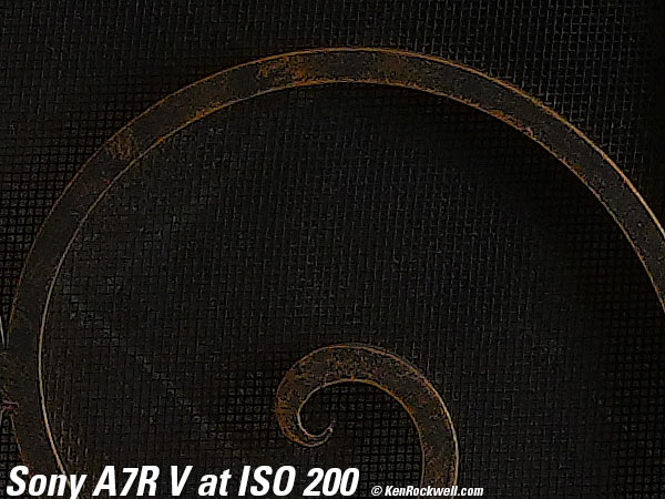 Sony A7R V High ISO Sample Image File