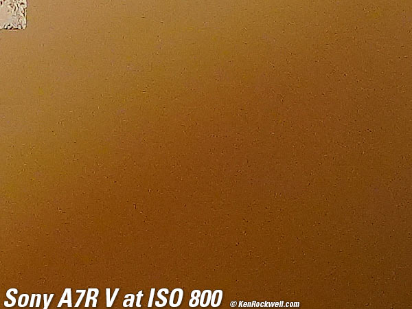 Sony A7R V High ISO Sample Image File