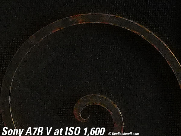 Sony A7R V High ISO Sample Image File