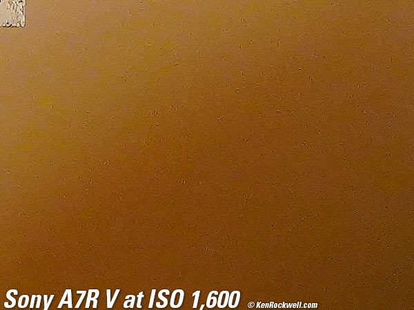 Sony A7R V High ISO Sample Image File