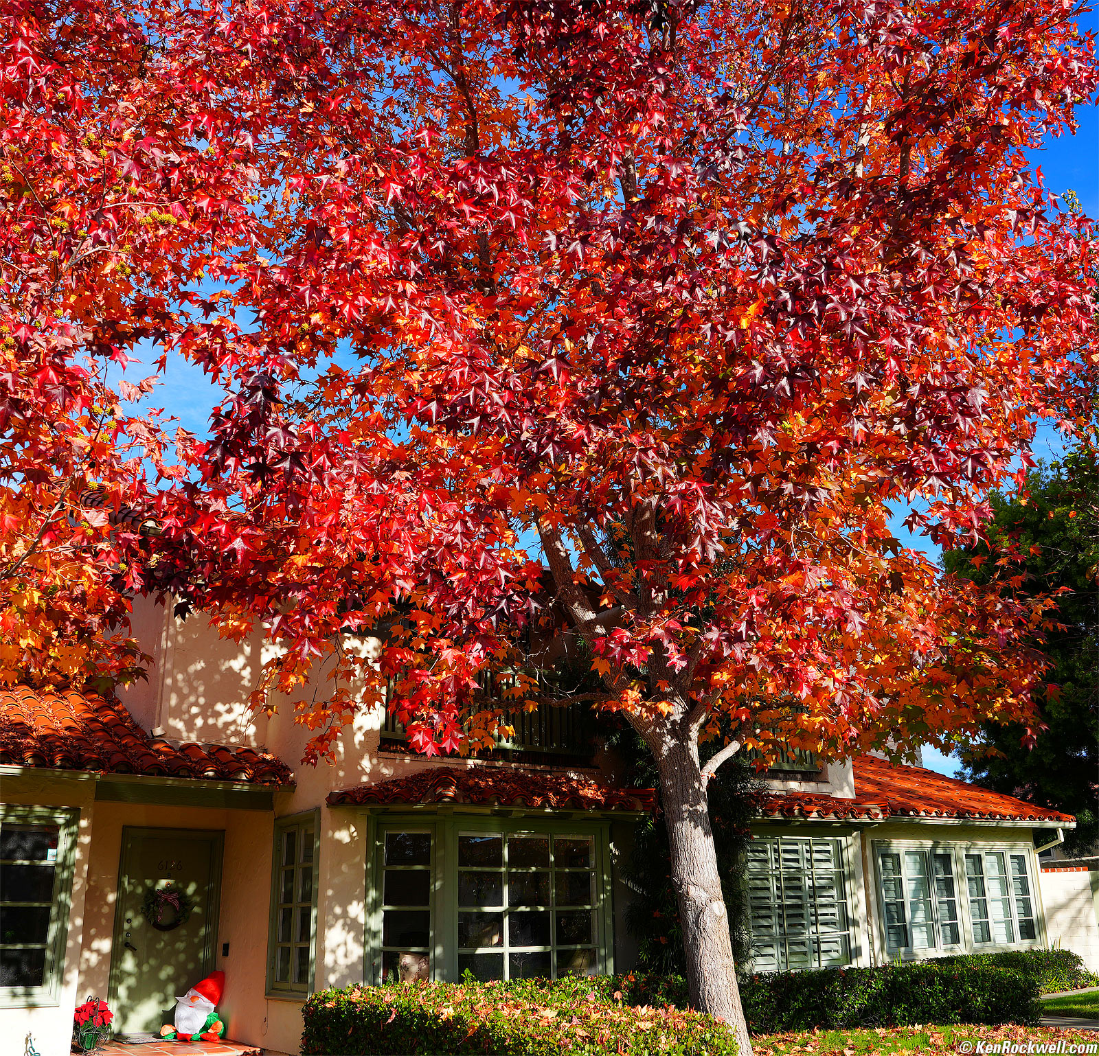 Sony A7R V Sample Image File