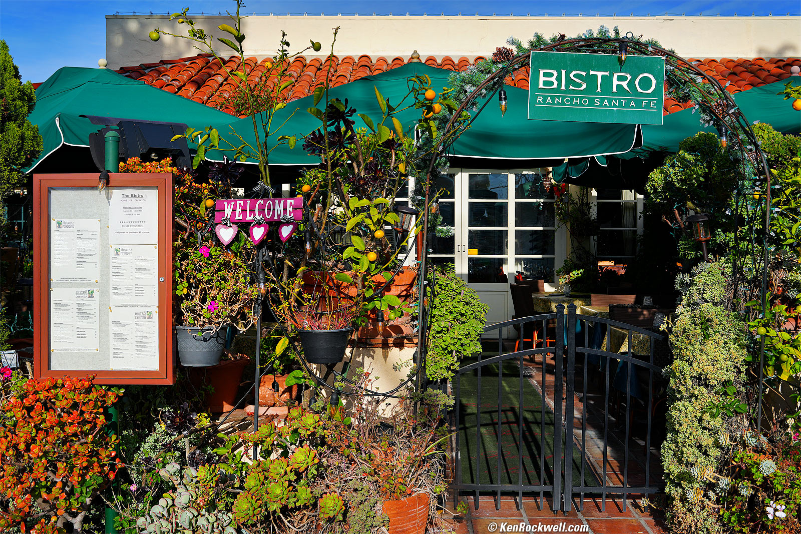 Sony A7R V Sample Image File