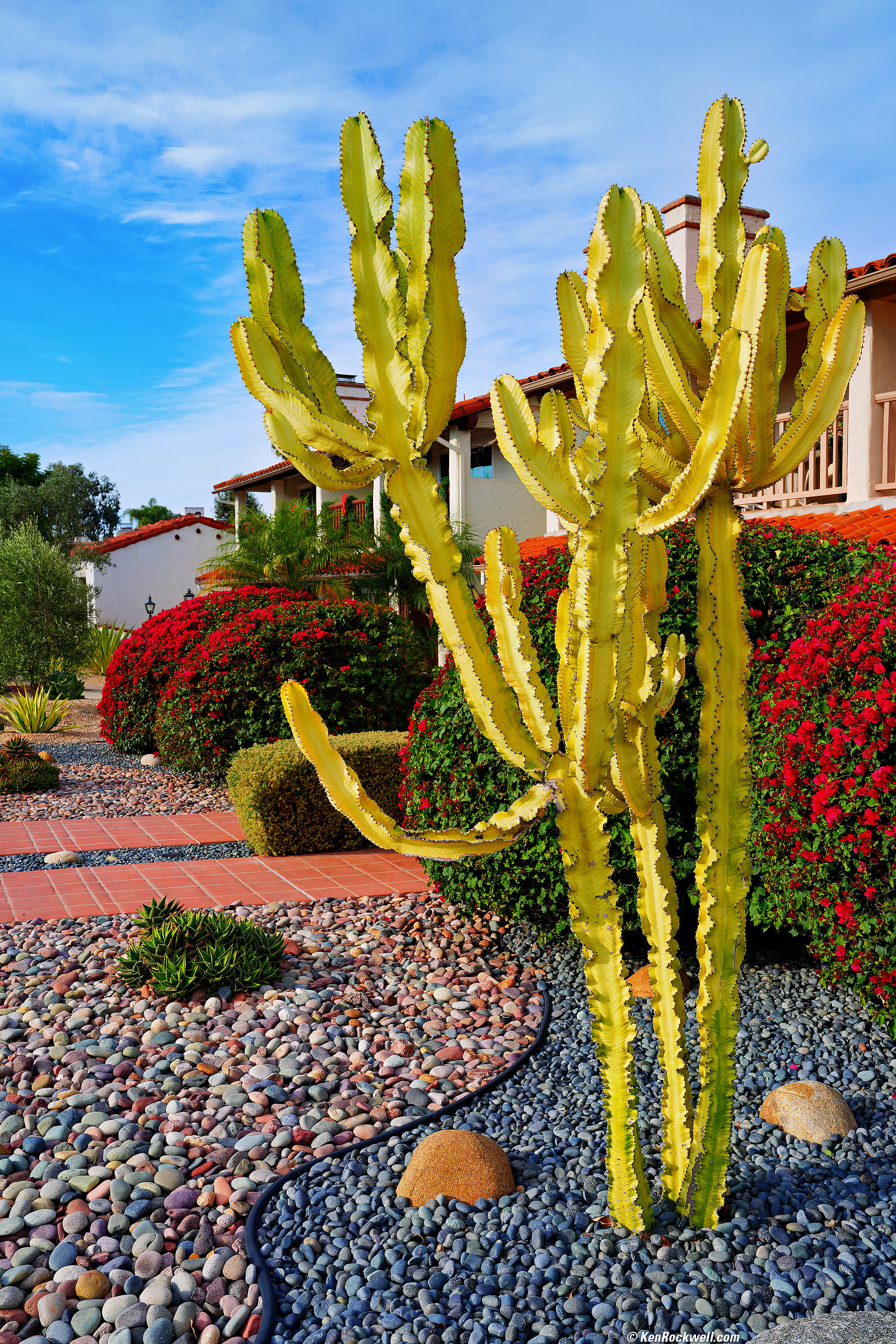 Sony A7R V Sample Image File