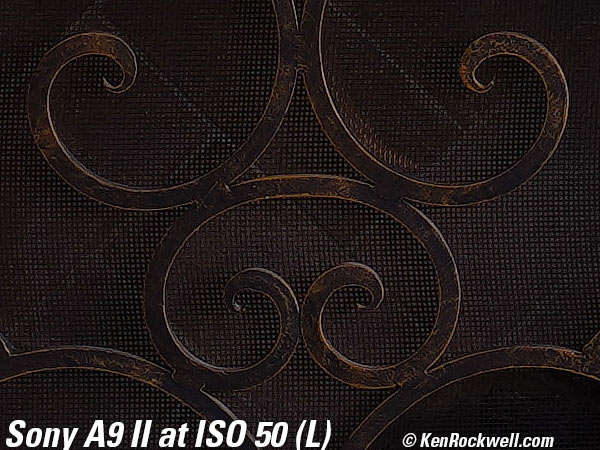 Sony A9 II High ISO Sample Image File