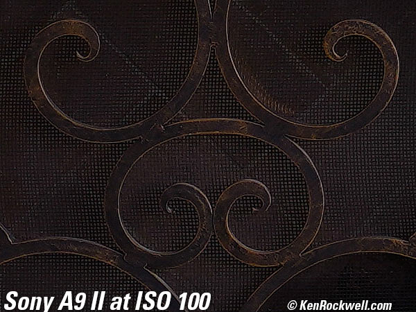 Sony A9 II High ISO Sample Image File