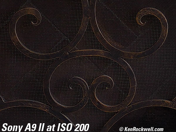 Sony A9 II High ISO Sample Image File