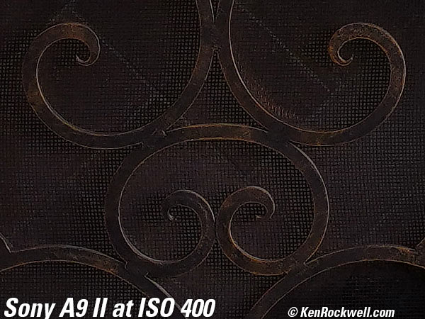 Sony A9 II High ISO Sample Image File