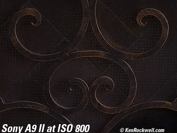 Sony A9 II High ISO Sample Image File