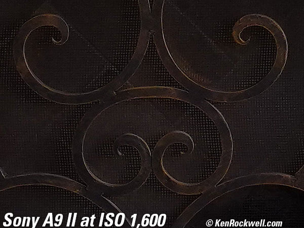 Sony A9 II High ISO Sample Image File