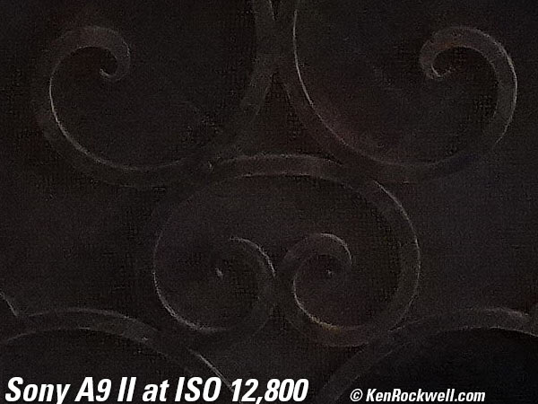 Sony A9 II High ISO Sample Image File