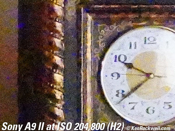 Sony A9 II High ISO Sample Image File