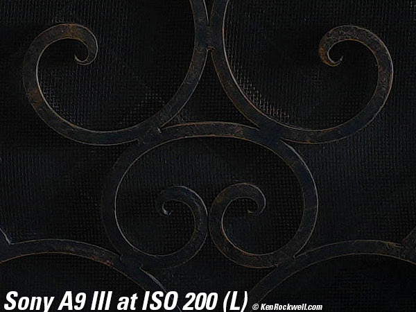 Sony A9 III High ISO Sample Image Files