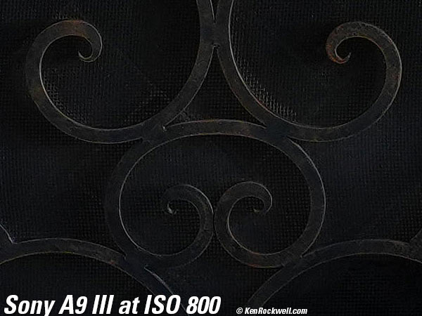 Sony A9 III High ISO Sample Image Files