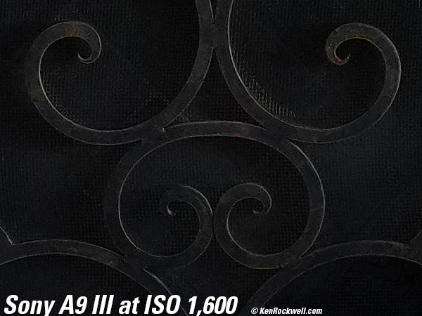 Sony A9 III High ISO Sample Image Files