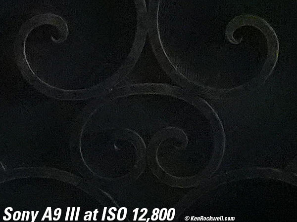 Sony A9 III High ISO Sample Image Files