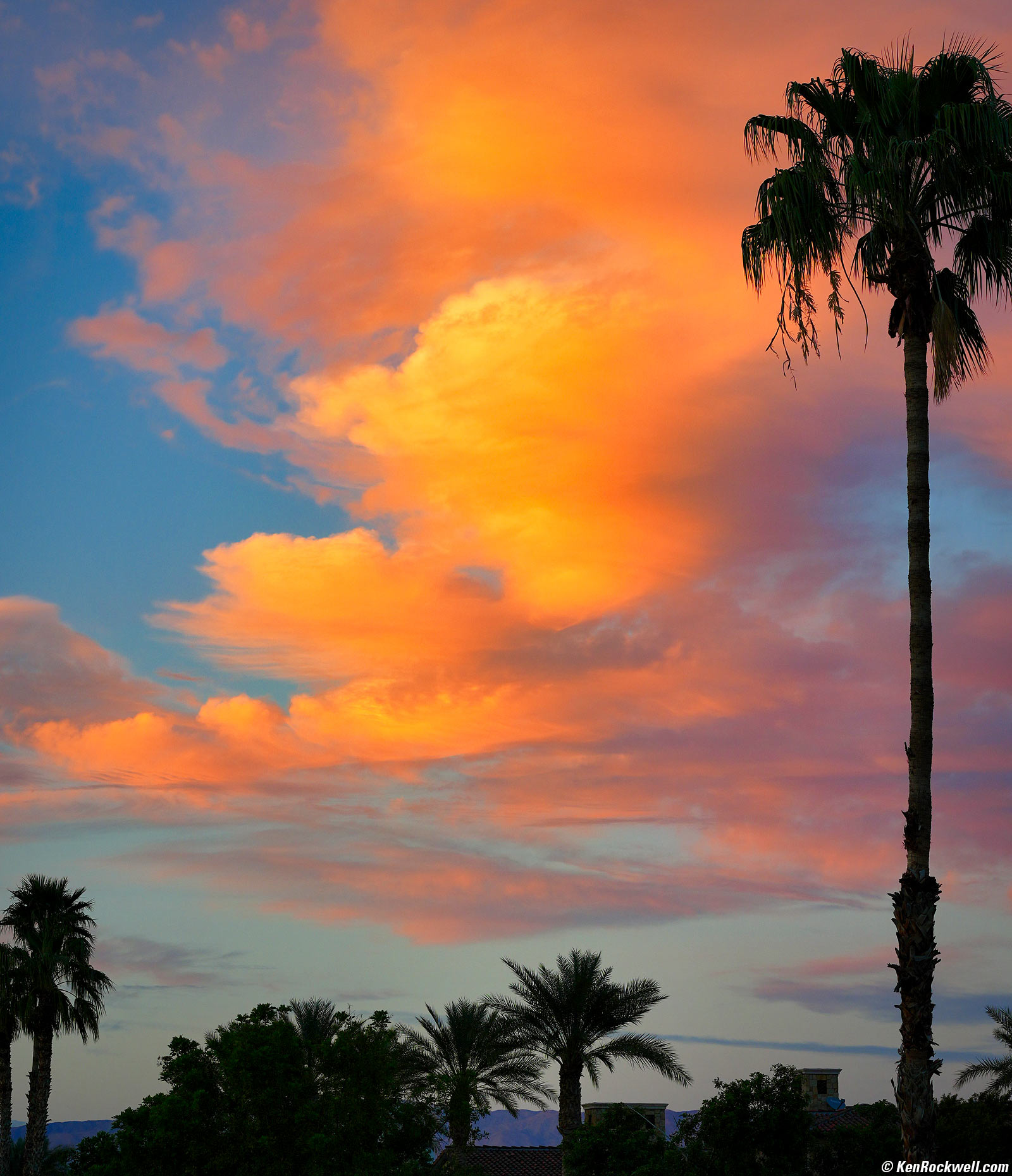 Sony A9 III Sample Image File