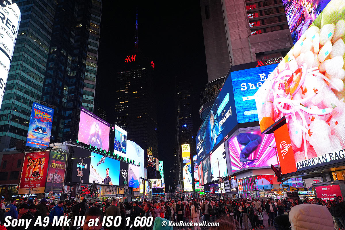 Sony A9 III High ISO Sample Image File