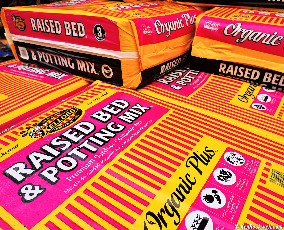 Sony RX100 Mk VI Sample Image