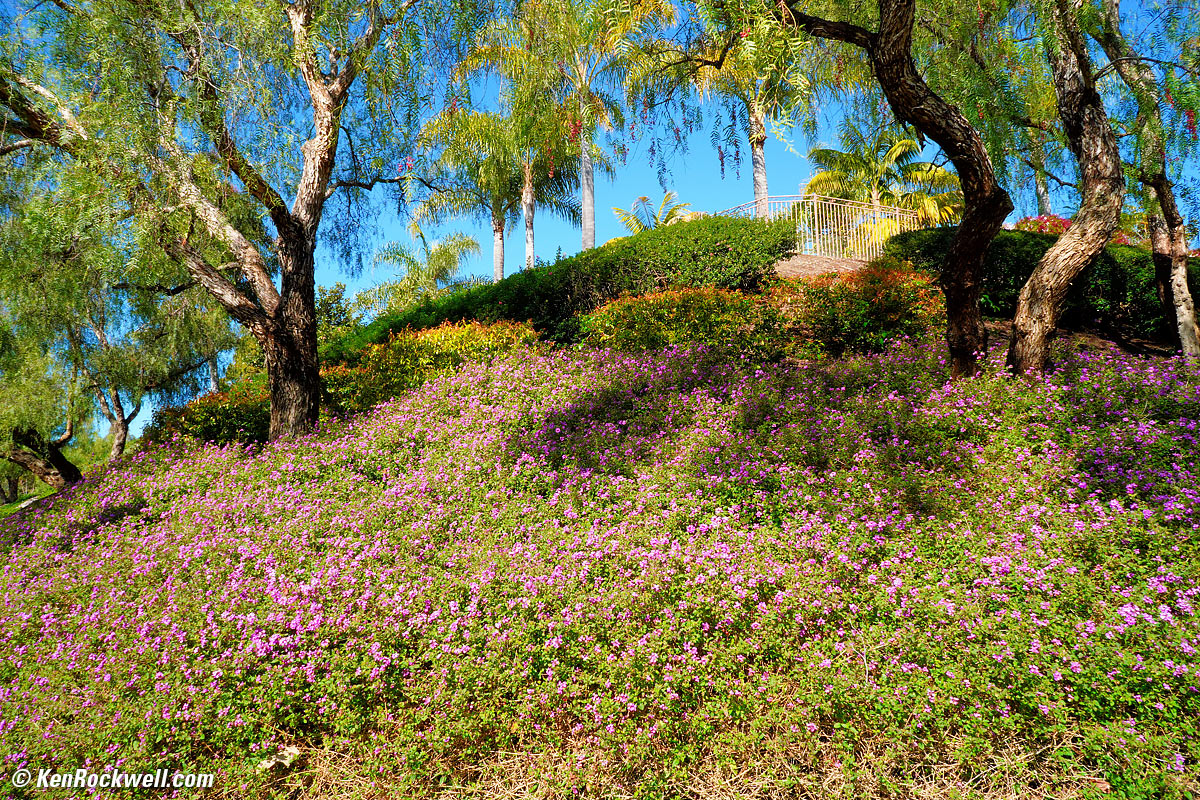 Sony 16mm f/2.8 sample image