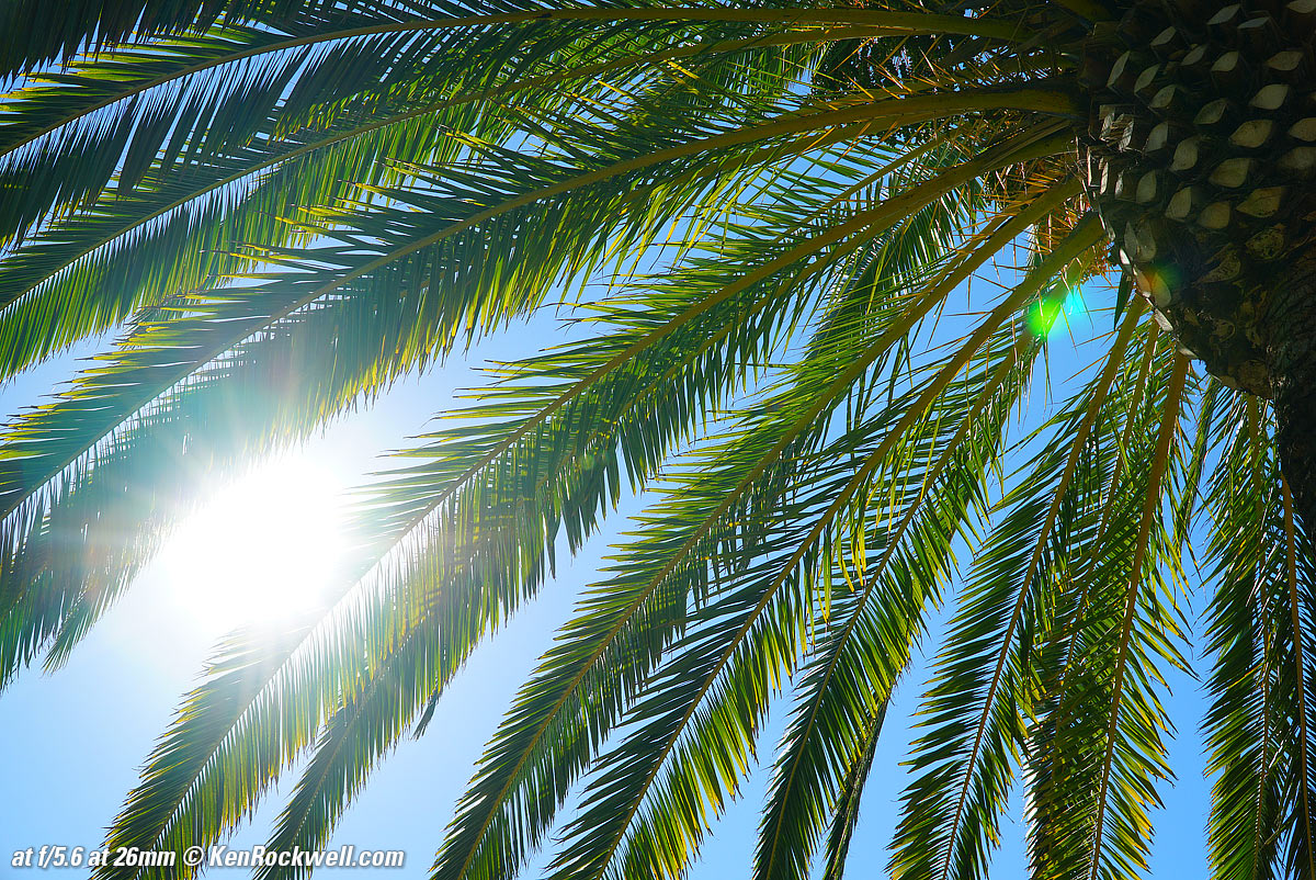 Sony 18-105mm Sunstars