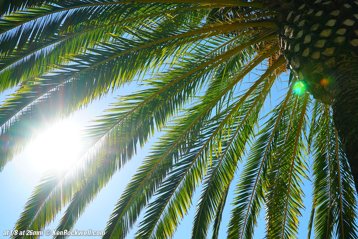 Sony 18-105mm Sunstars