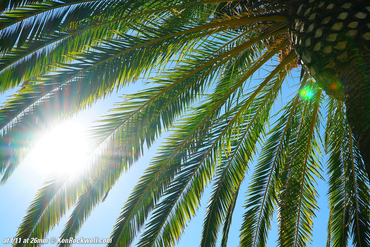 Sony 18-105mm Sunstars