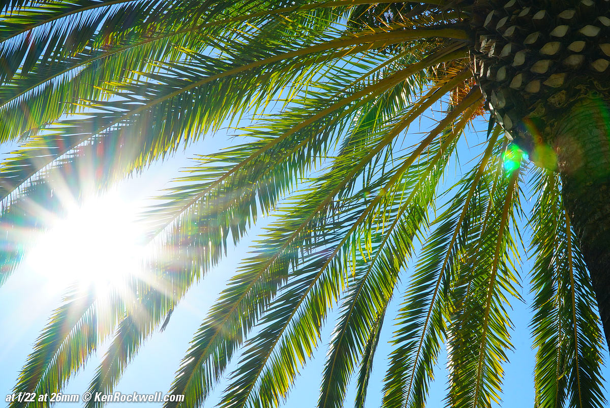 Sony 18-105mm Sunstars