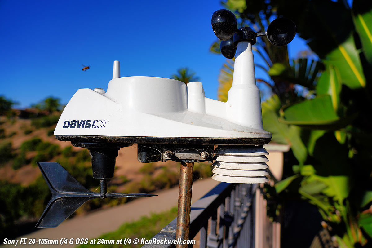 Sony 24-105 2.8 Bokeh