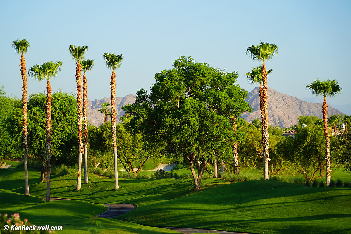 Sony 24-240mm sample image