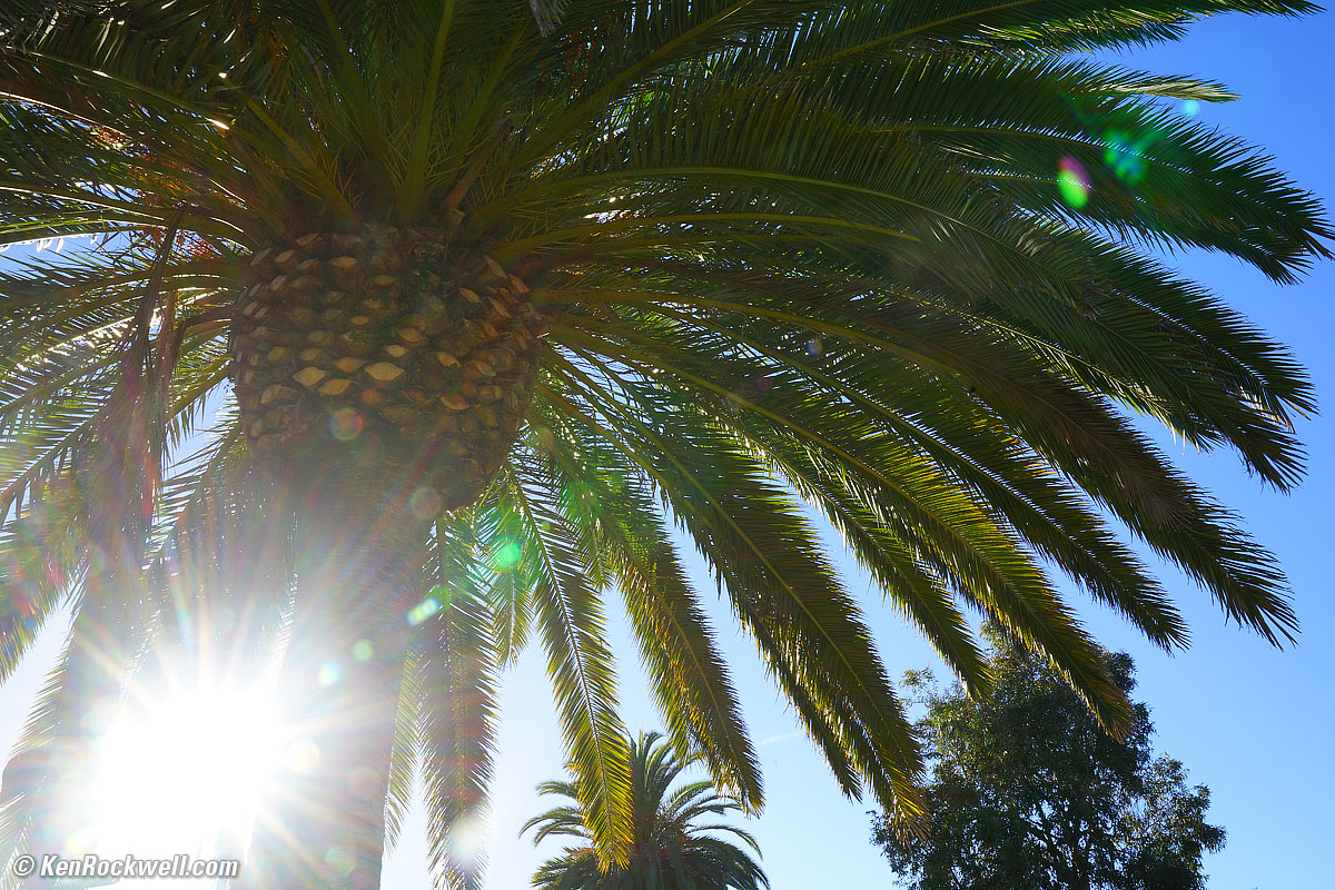 Sony 24-70mm f/2.8 Sunstars