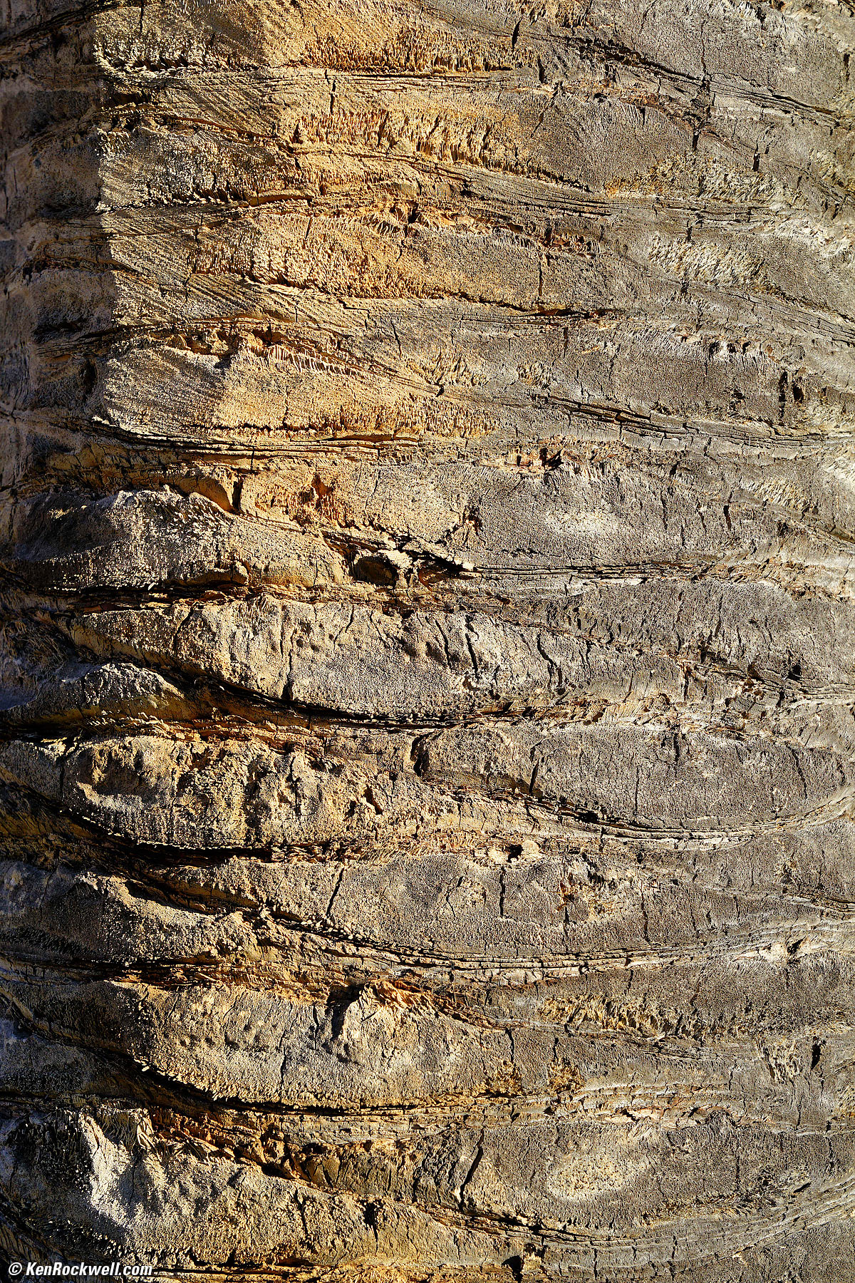 Sony 24-70mm f/2.8 Sample Image