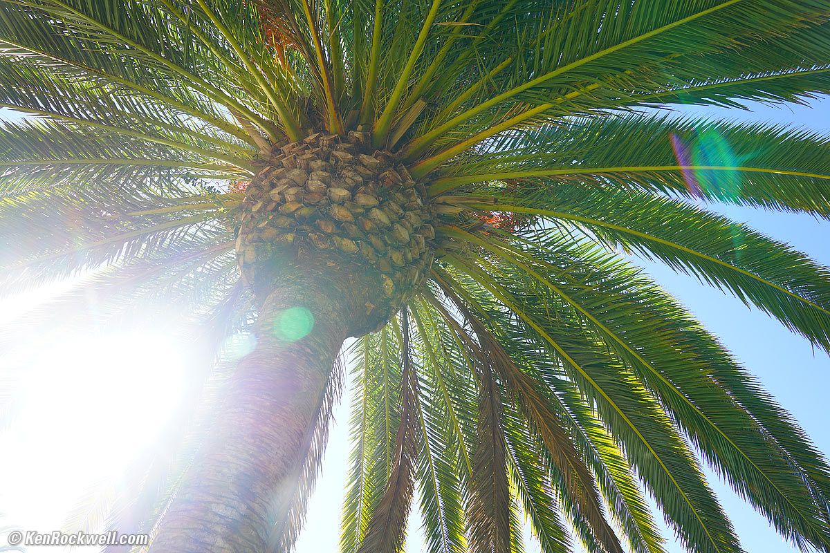 Sony 24-70mm f/2.8 flare & Ghosts