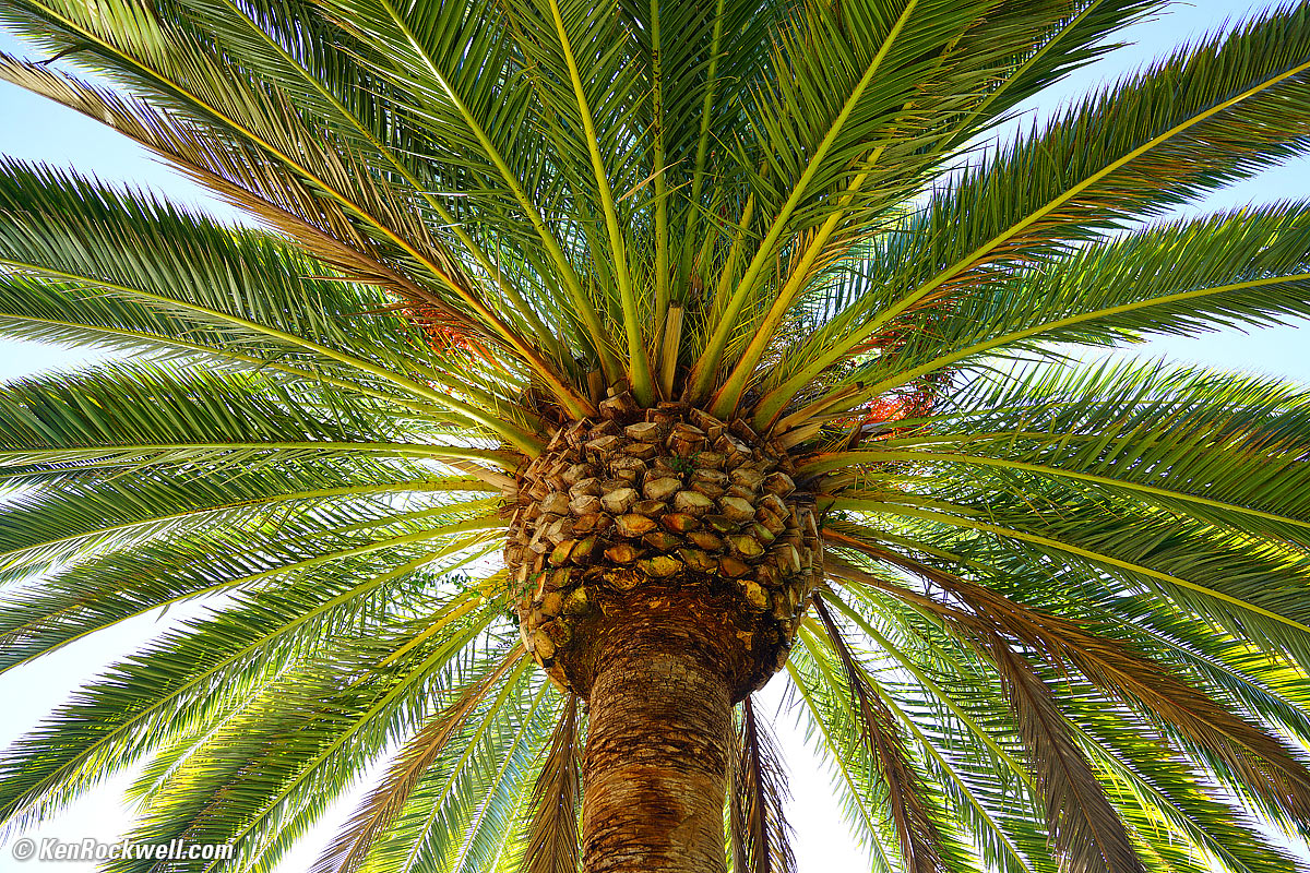 Sony 24-70mm f/2.8 Sample Image