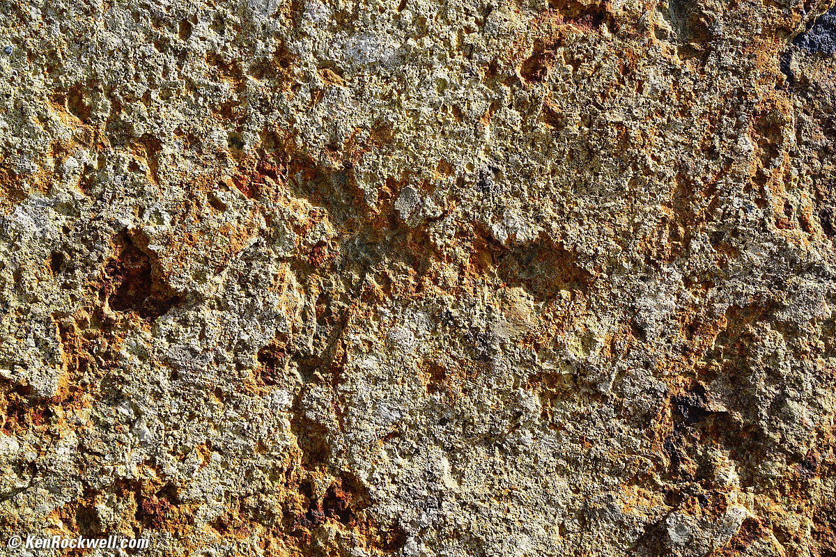 Sony 24-70mm f/2.8 Sample Image