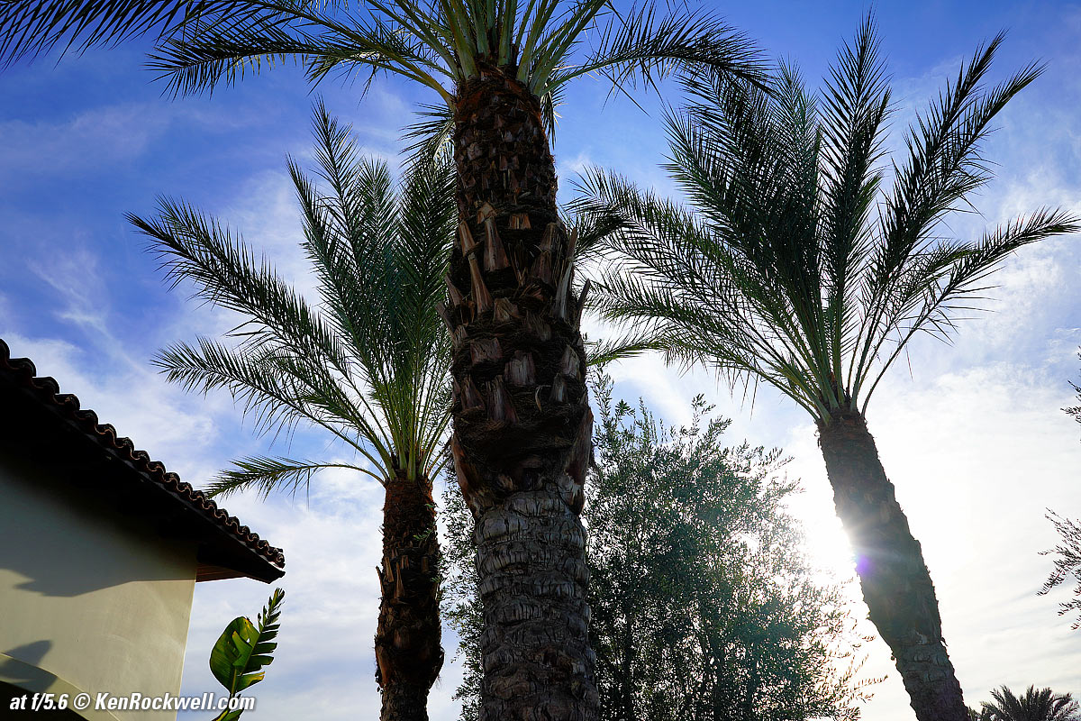 Sony 28mm f/2 Sunstars