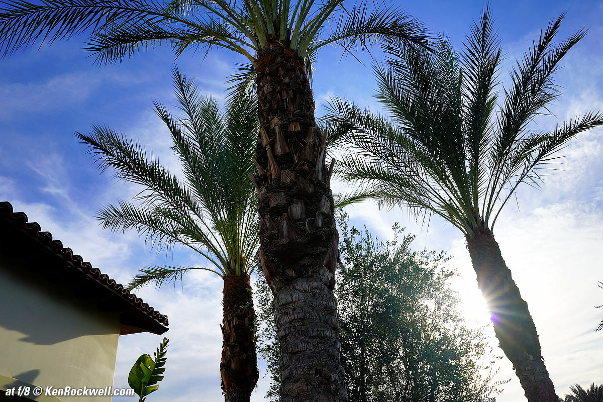 Sony 28mm f/2 Sunstars