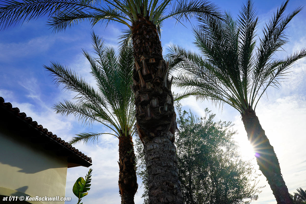 Sony 28mm f/2 Sunstars