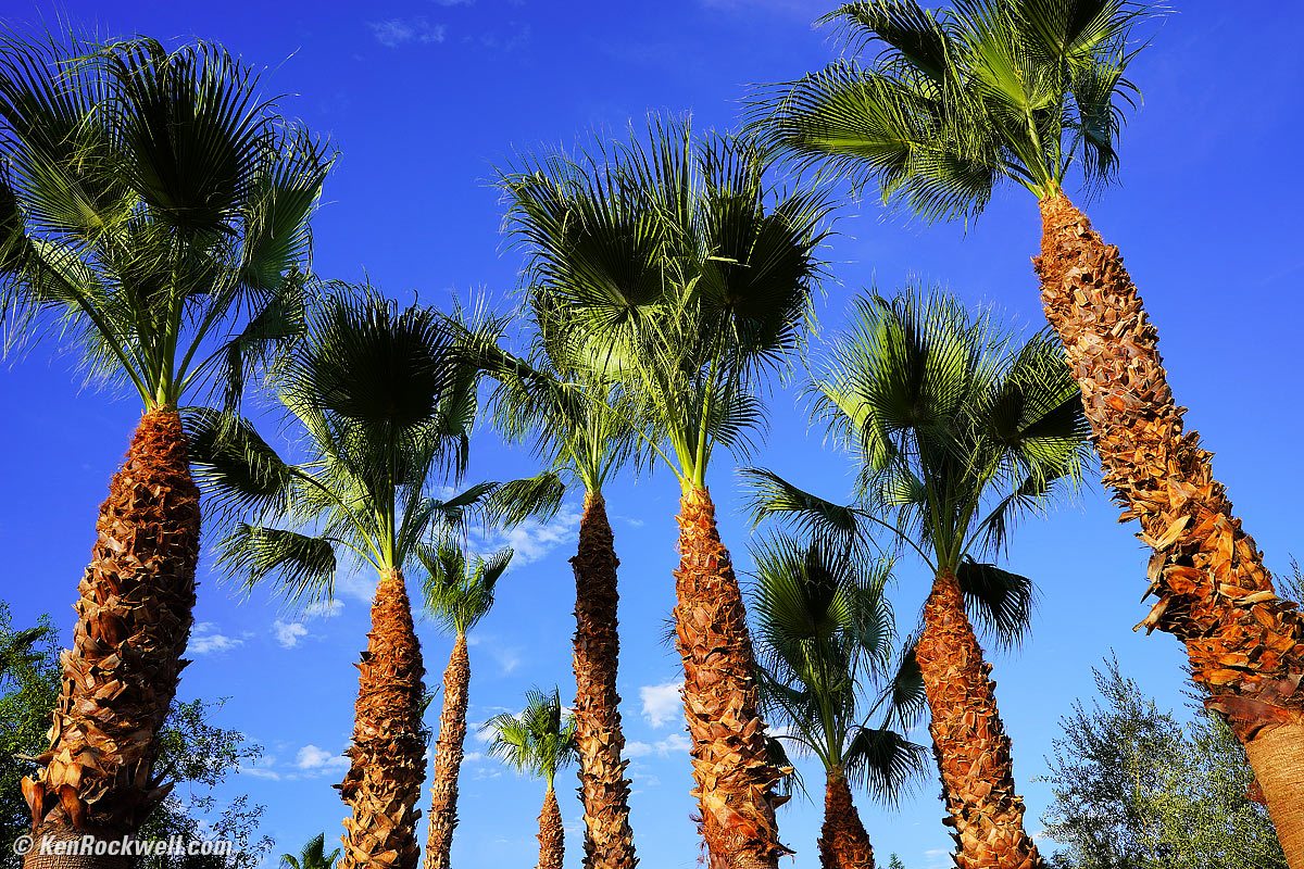Sony 28mm f/2 sample image - Seven Palms Oasis