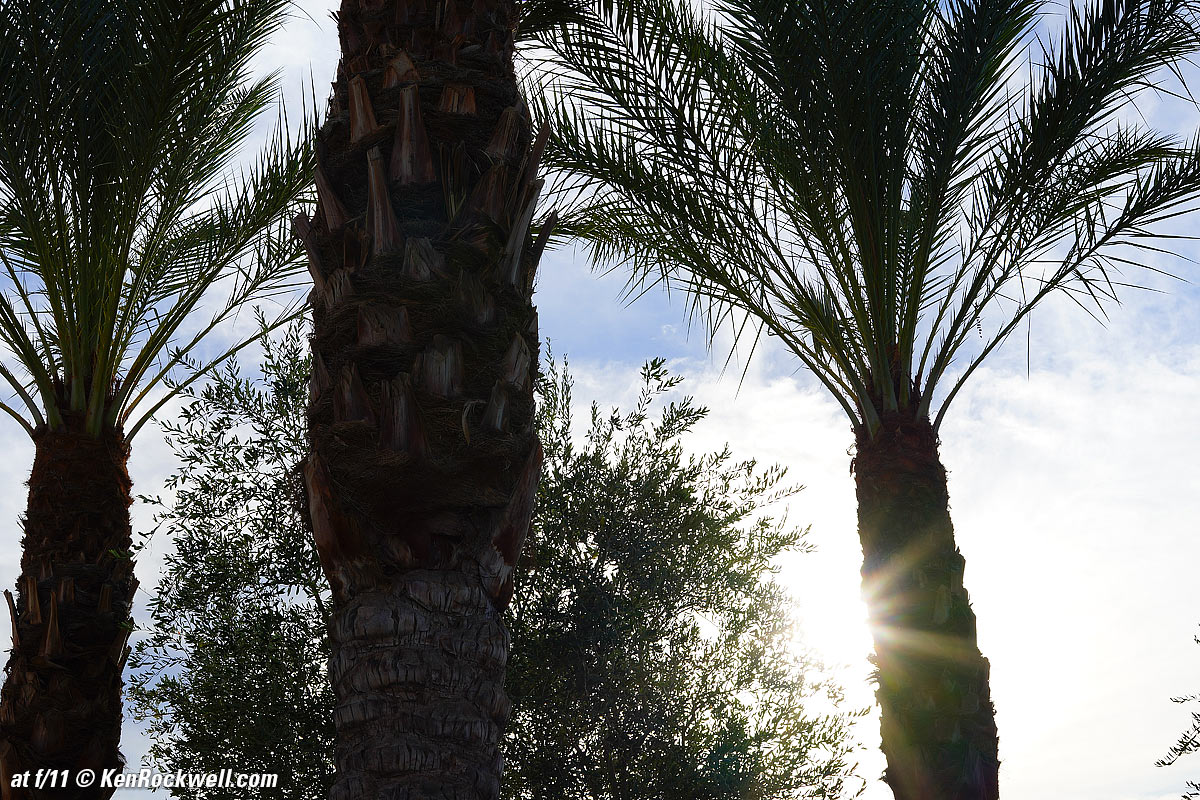 Sony 50mm f/1.8 Sunstars