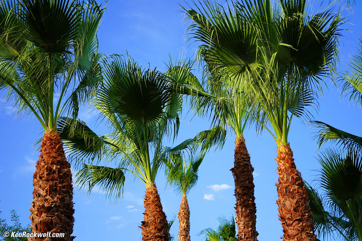 Seven Palms Oasis, La Quinta