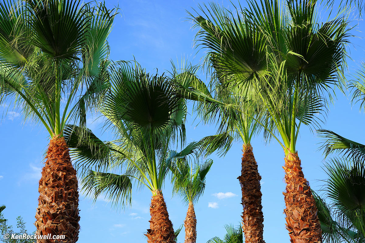 Seven Palms Oasis, La Quinta