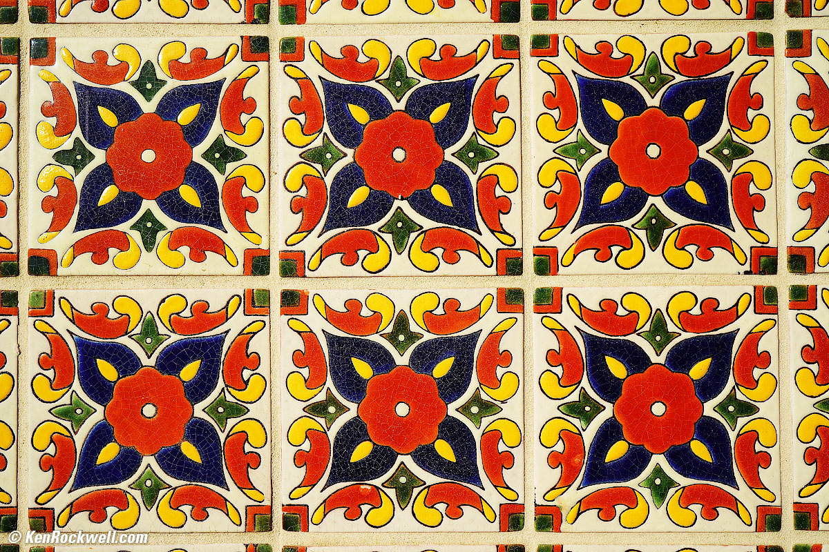 Sony 50 2.8 Macro Sample Image File