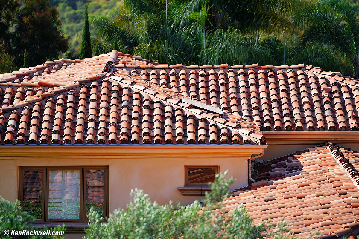 Sony 70-200mm f/2.8 Sample Image