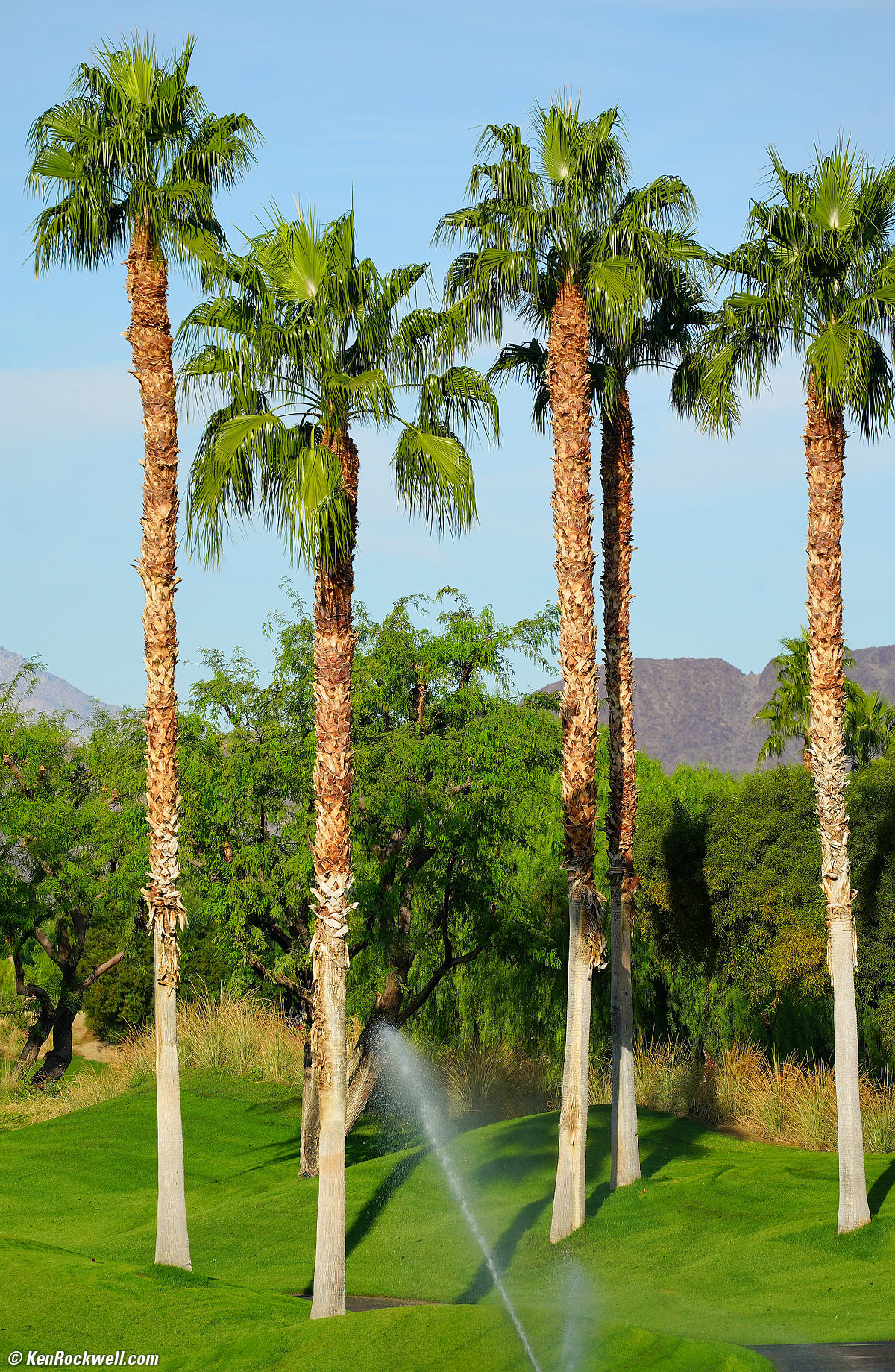 Sony 70-300mm Sample Image File