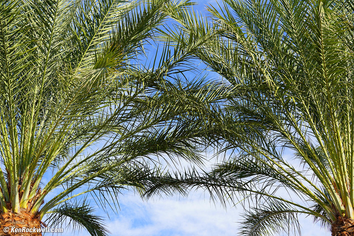 Sony 70-300mm Sample Image File