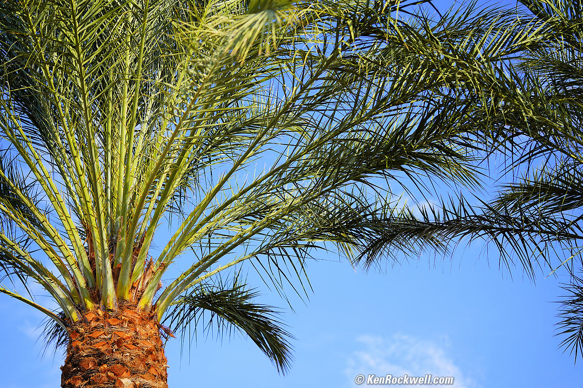 Sony 90 2.8 Macro Sample Image File