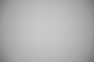 Sony 12-24mm f/2.8 falloff